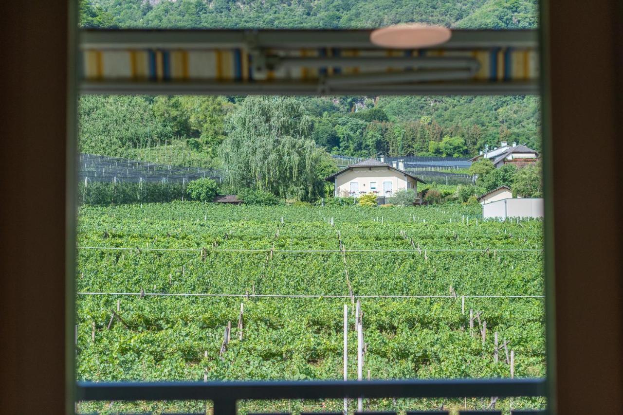 Haus Stolz Bed and Breakfast Appiano Sulla Strada Del Vino Εξωτερικό φωτογραφία
