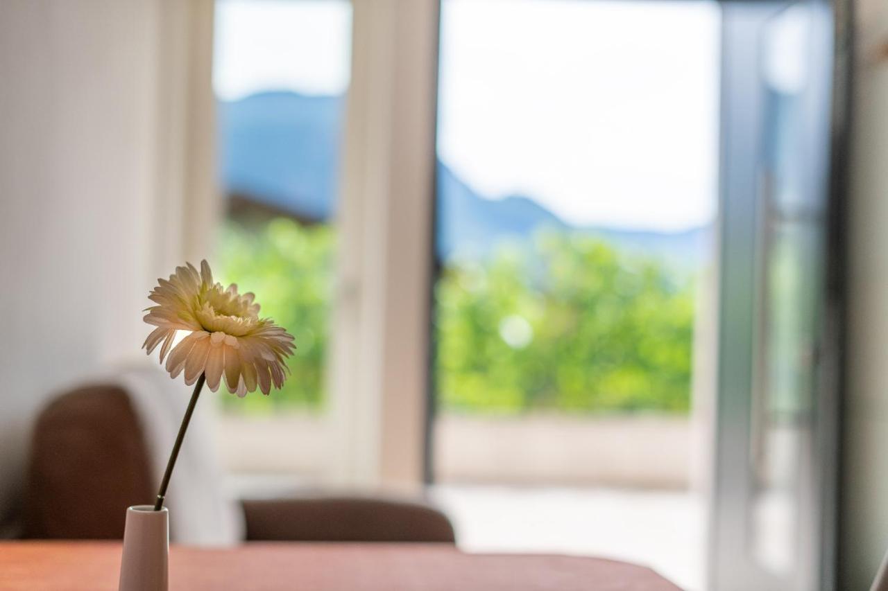Haus Stolz Bed and Breakfast Appiano Sulla Strada Del Vino Εξωτερικό φωτογραφία